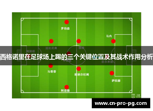 西格诺里在足球场上踢的三个关键位置及其战术作用分析