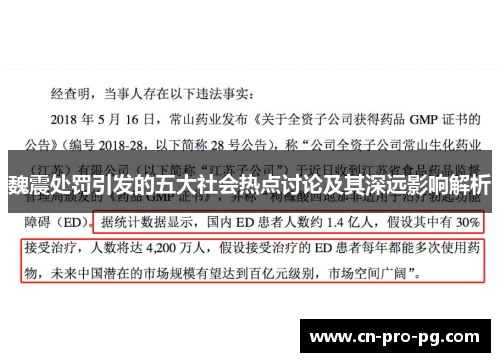 魏震处罚引发的五大社会热点讨论及其深远影响解析