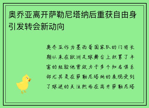 奥乔亚离开萨勒尼塔纳后重获自由身引发转会新动向